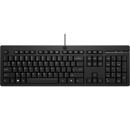 HP 125 Wired Keyboard 266C9AA 