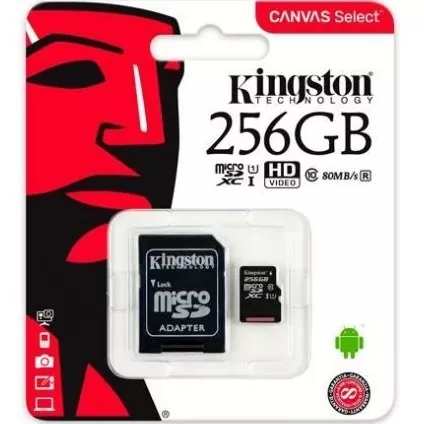 Kingston 256GB MicroSDHC Class10  