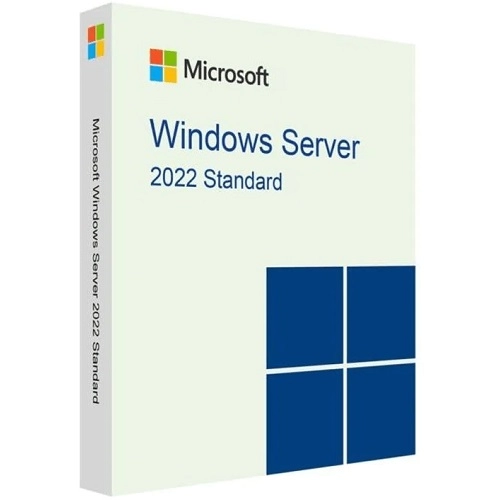Microsoft Windows Server Standard 2022 P73-08328 